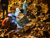 夜の岩場でヘルメットを着けた参加者たちがライトを照らしながら地層を観察している写真