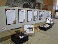 いのししの図が大きく載せられたパネルの展示がされている写真