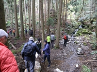 森の中の登山道で参加者たちが列になって散策している写真