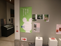 ねずみのシルエットが描かれたイラストや写真が壁に貼られている写真