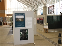 広いホールに置かれたパーテーションに額縁に入った写真やポスターが貼られている写真