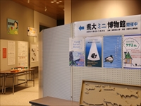 パーテーションに4枚のポスターと、県大ミニ博物館開催中と矢印が書かれたの誘導ポスターが貼られた写真