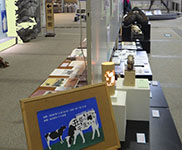 壁を挟んで両側に展示品が机の上に並んでいる写真