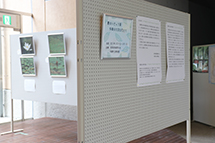 展示会場の壁面に掲示された写真作品と解説資料の展示風景写真