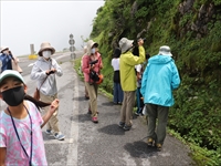 小道の脇で参加者たちが立ち止まって説明を聞いている写真