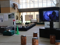 展示会場の一角で映像展示と椅子が配置されたスペースの全体写真