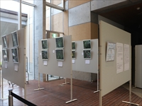 展示会場内に整然と並ぶ写真展示パネルの様子を写した写真