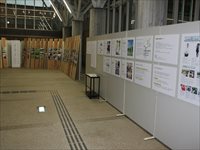 グレーの壁沿いに展示物が整って貼られている写真