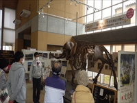 展示室で骨格標本の前に参加者たちが集まり解説を聞いている写真