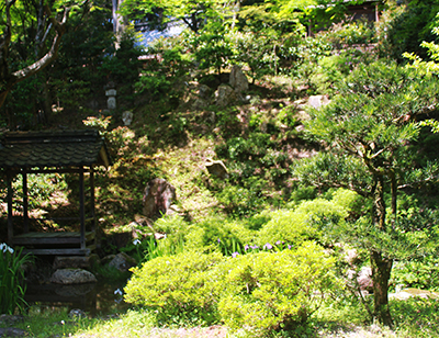 緑豊かな庭園の東屋と植栽を写した写真