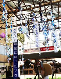 様々な文字の書かれた垂れ幕がたくさん天井から吊るされている様子の写真
