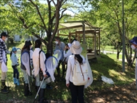 屋外で網を持ち昆虫観察をしている小学生と保護者たちの写真