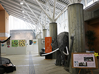 展示会場の通路で大型の動物標本と解説パネルが設置されている写真