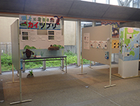 展示スペースで地域の生きものを紹介する解説パネルが並んでいる写真