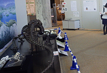 展示会場で恐竜の骨格標本が展示台に設置されている写真