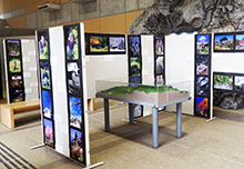 展示スペースで写真パネルと立体模型が配置されたテーマ展示の写真