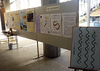 展示スペースで来場者が閲覧できる解説パネルが並んでいる写真