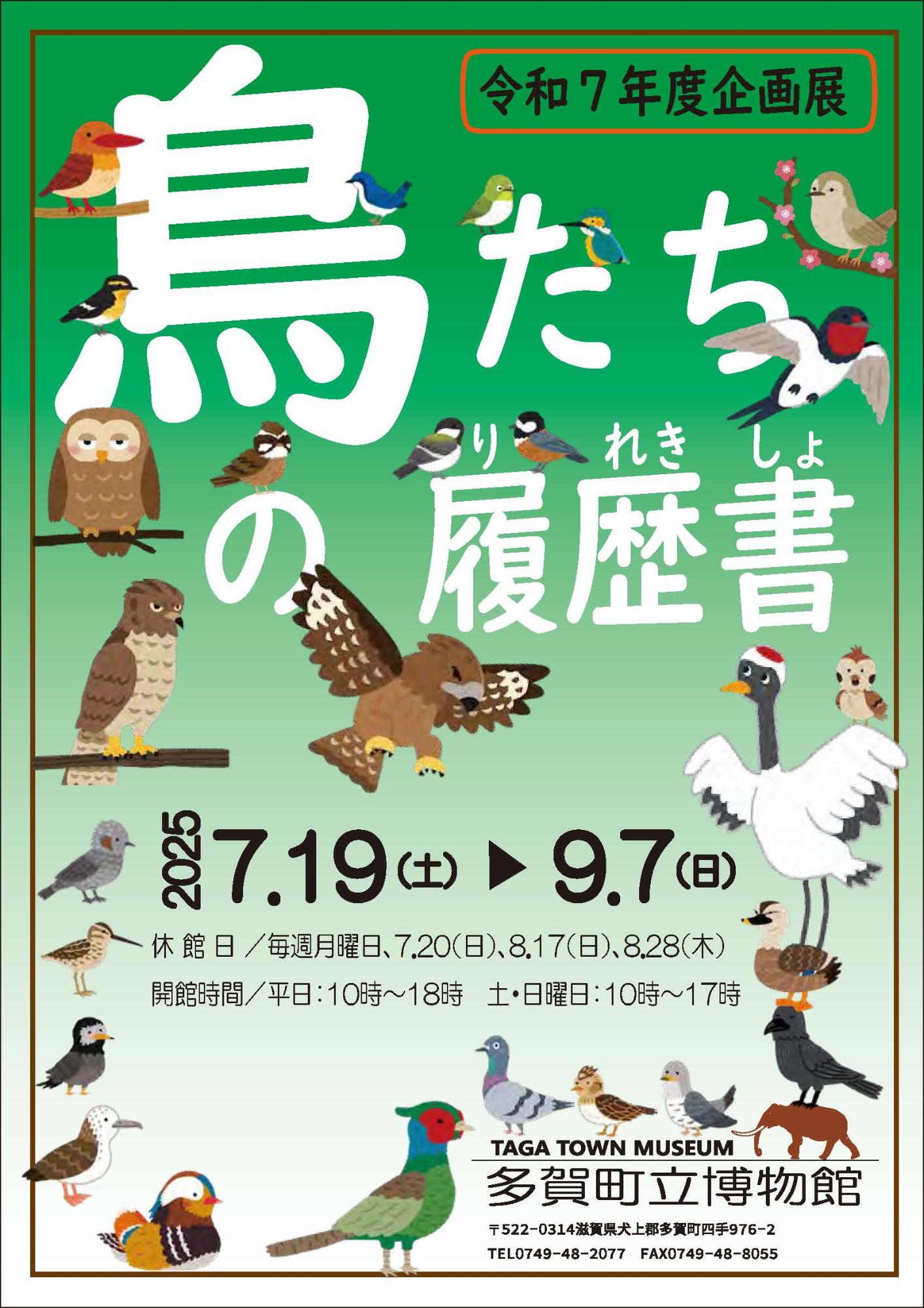 令和7年度企画展鳥たちの履歴書のチラシ