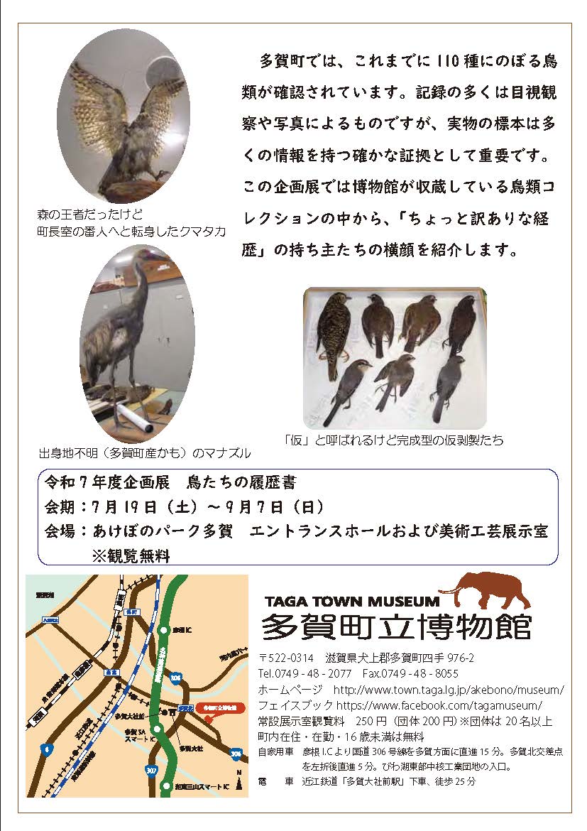 令和7年度企画展鳥たちの履歴書の裏面のチラシ