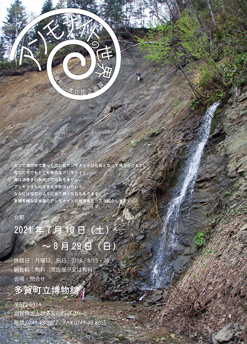 アンモナイトの世界のポスター