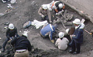 ヘルメットを着用した数人の人々が化石を採掘している様子の写真