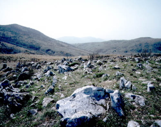 ところどころに岩が突出した芝とその奥に山がそびえ立っている風景の写真