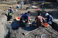 作業着を着た複数の人物がしゃがみ込み発掘調査を行っている様子の写真