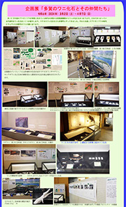 企画展「多賀のワニ化石とその仲間たち」のチラシ