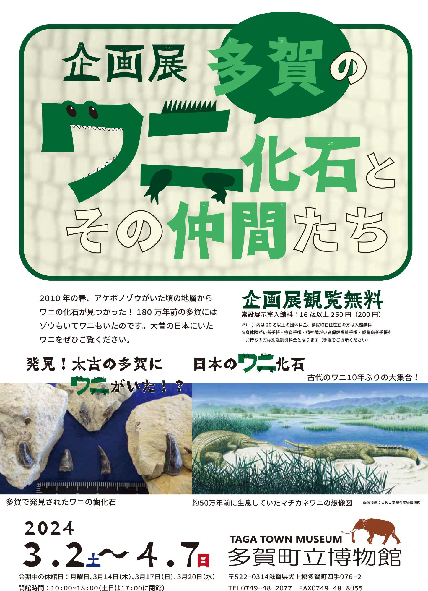 多賀のワニ化石とその仲間たちの企画展のチラシ