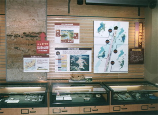 地層についての資料や化石が壁やガラスのショーケース内に展示されている様子の写真