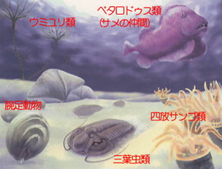 2億8000万年前の海の生態系の図
