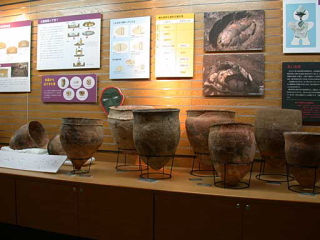 複数の縄文土器が並べて展示されている様子の写真