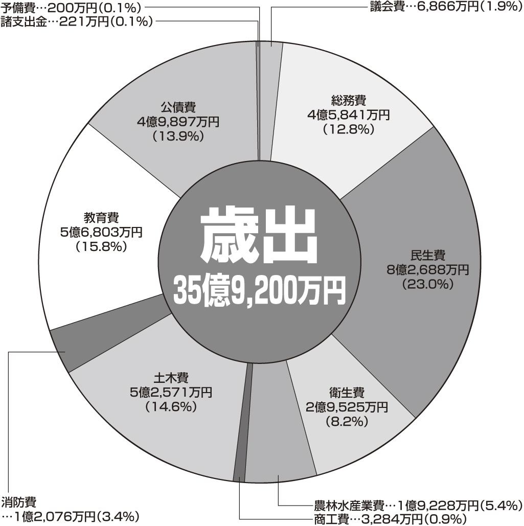 歳出35億9,200万円の円グラフ