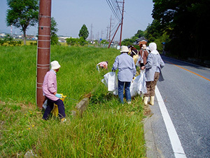 道路の脇道に草が沢山生い茂っており、そこに人々が集まって作業をしている写真