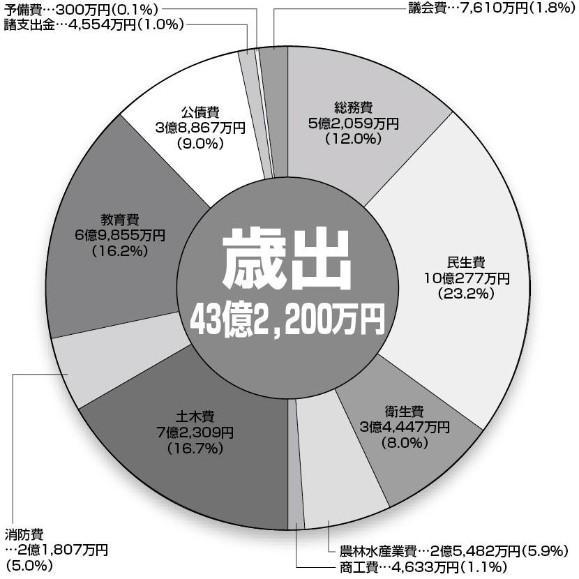 歳出43億2,200万円の円グラフ