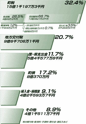 歳入決算額の内訳のバーグラフ