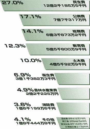 歳出決算額の内訳のバーグラフ