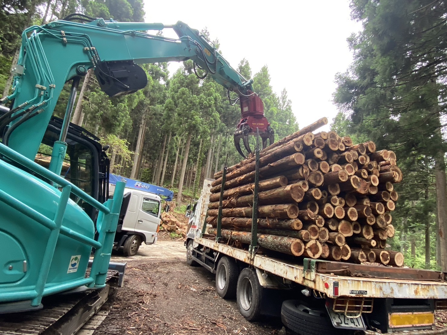 細めの丸太がトラックの荷台に積んであり、それにクレーン車のような機械が近づいている写真