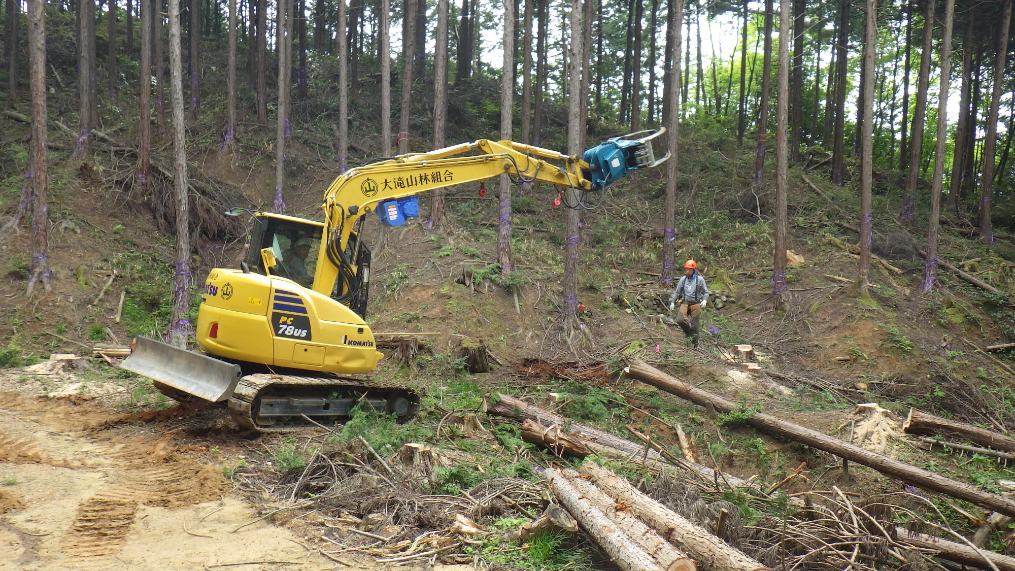 木々が沢山生えている山道の上を黄色いショベルカーのような機械が動いている写真