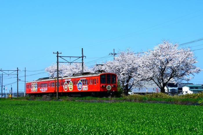 桜とガチャコン